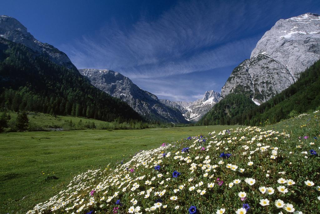 Apart Garni Montana Pertisau Extérieur photo
